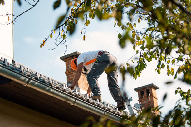 Best Gutter Installation and Roofing  in Whitwell, TN